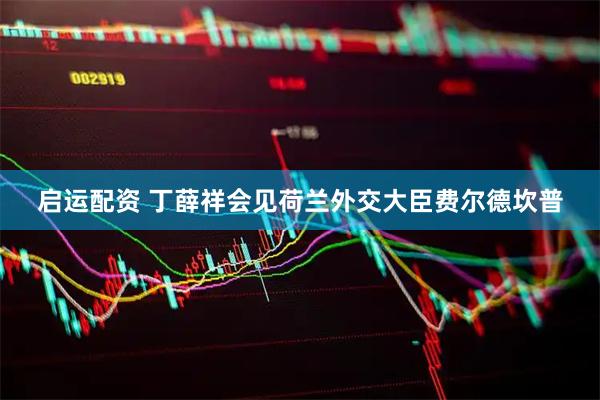 启运配资 丁薛祥会见荷兰外交大臣费尔德坎普