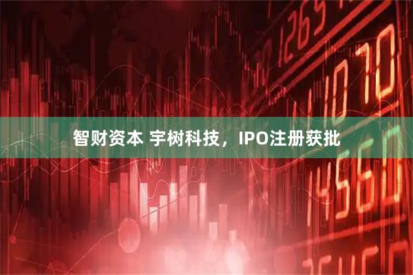智财资本 宇树科技，IPO注册获批